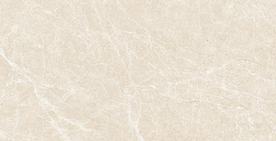 Tesoro Lucca 24" x 48" Porcelain Tile