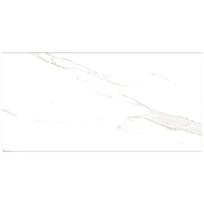 Wonder Porcelain Sherron 24" x 48" Porcelain Tile