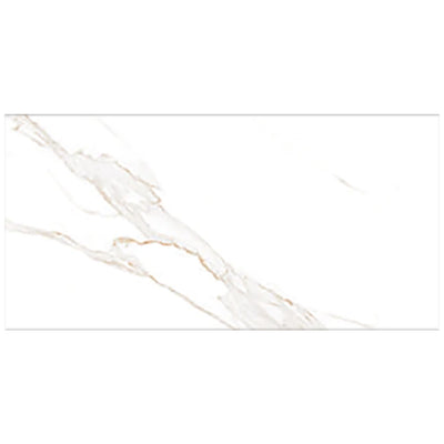 Wonder Porcelain Sherron 24" x 48" Porcelain Tile