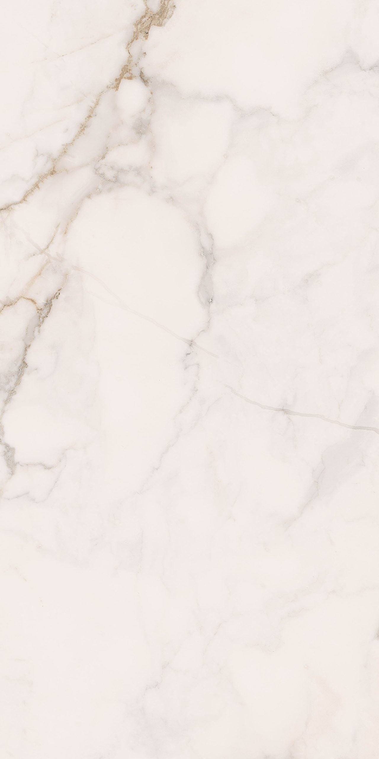 Portobello America Apuano Oro 24" x 48" Porcelain Tile