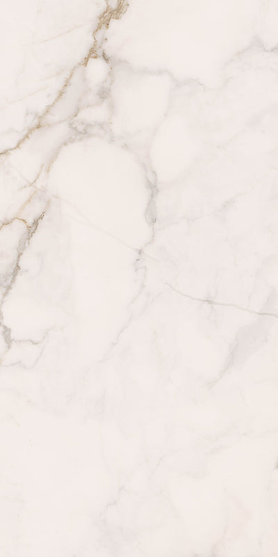 Portobello America Apuano Oro 24" x 48" Porcelain Tile