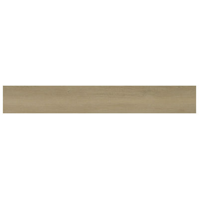 MS International Ashton 2.0 7" x 48" Vinyl Plank