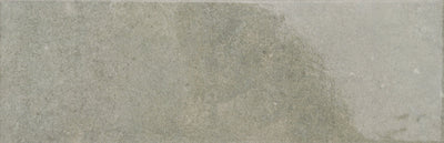 Emser Pagoni 4" x 13" Porcelain Tile