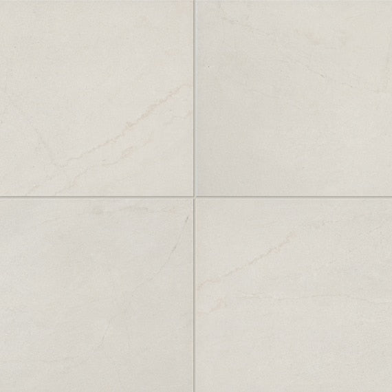 Daltile Prime 18" x 18" Ceramic Tile