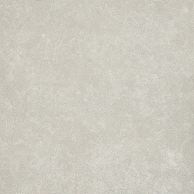 Daltile Advantage 12" x 12" Ceramic Tile