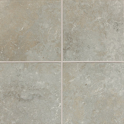 Daltile Advantage 18" x 18" Ceramic Tile