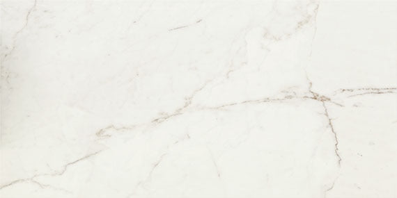 Marazzi Classentino Marble 24" x 48" Porcelain Tile