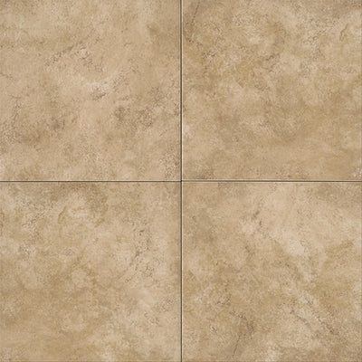 Daltile Choice 12" x 12" Ceramic Tile