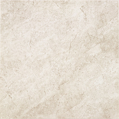 Daltile Choice 18" x 18" Ceramic Tile