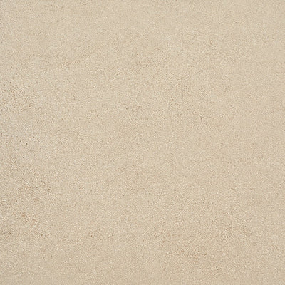 Daltile Advantage 12" x 24" Ceramic Tile