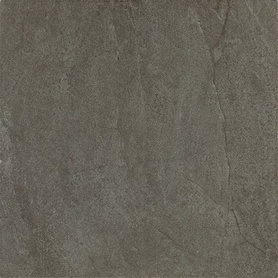 Daltile Prime 12" x 12" Ceramic Tile