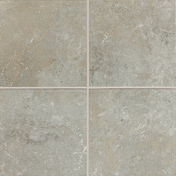 Daltile Advantage 12" x 12" Ceramic Tile