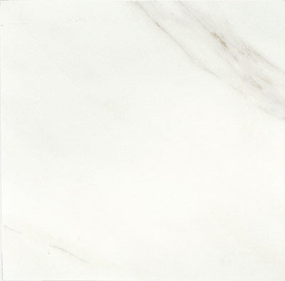 American Olean Mirasol 24" x 24" Porcelain Tile