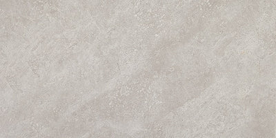 Daltile Choice 12" x 24" Ceramic Tile