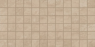 American Olean Theoretical 2 x 2 Straight Joint 12" x 24" Ceramic Mosaic