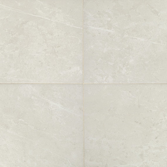 Daltile Prime 12" x 12" Ceramic Tile