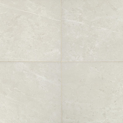 Daltile Prime 12" x 12" Ceramic Tile