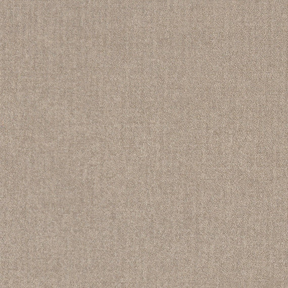 Daltile Prime 7.9MM 12" x 12" Ceramic Tile