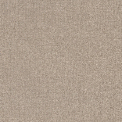 Daltile Prime 7.9MM 12" x 12" Ceramic Tile