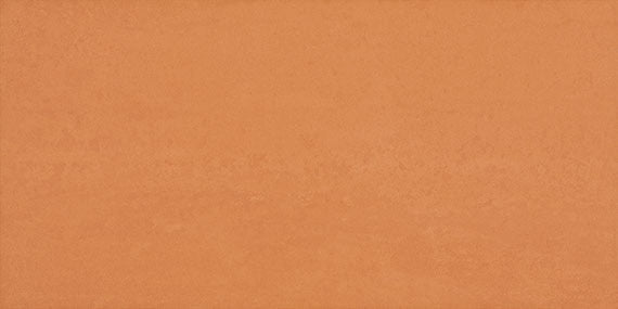 American Olean Theoretical Bold 12" x 24" Porcelain Tile