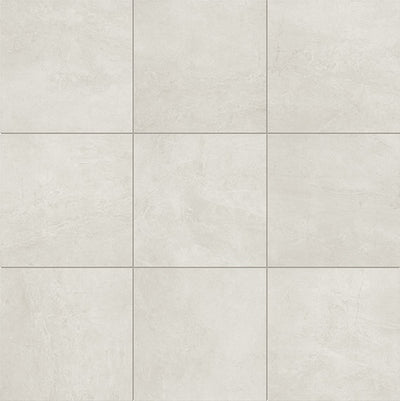 Daltile Advantage 18" x 18" Ceramic Tile