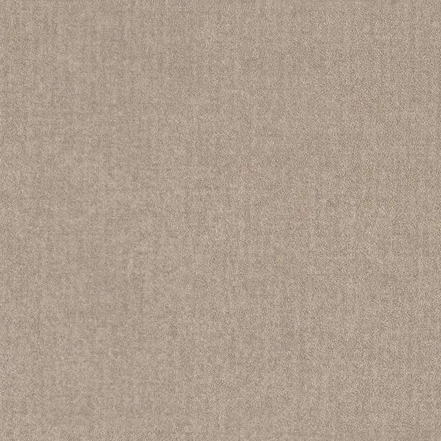 Daltile C.F. Prime 12" x 12" Ceramic Tile (Clearance)