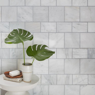 Jeffrey Court Classic Statuario 4" x 6" Marble Tile