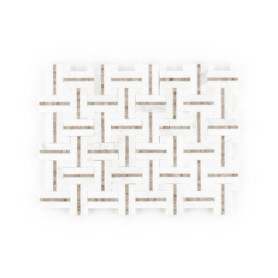 Jeffrey Court Park Place 8.25" x 11" Marble Mosaic