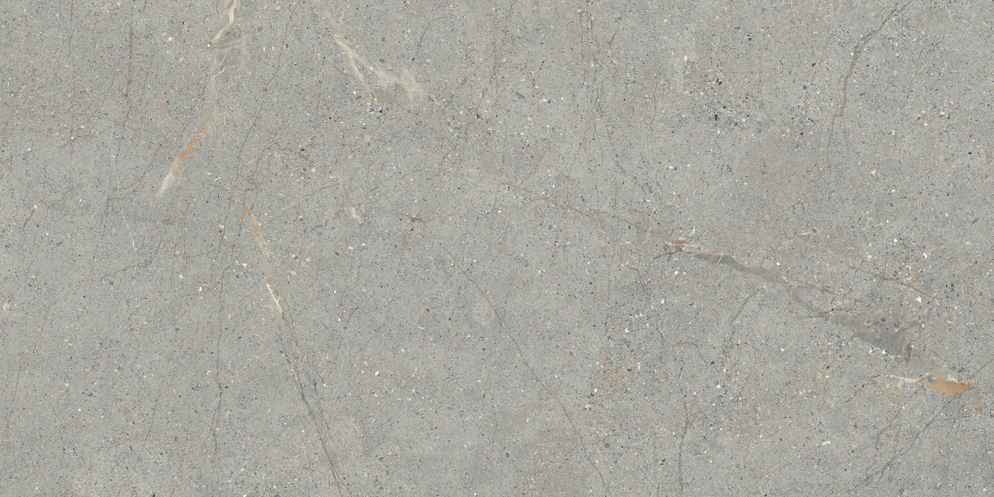 Emser Terramor 24" x 47" Porcelain Tile