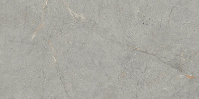 Emser Terramor 24" x 47" Porcelain Tile