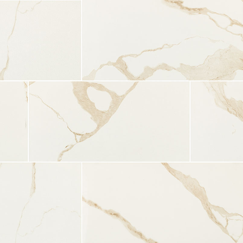 MS International Eden 24" x 48" Porcelain Tile