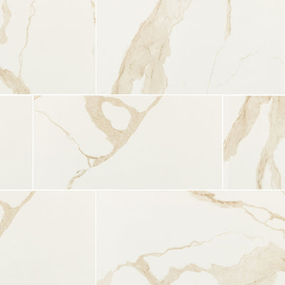 MS International Eden 24" x 48" Porcelain Tile