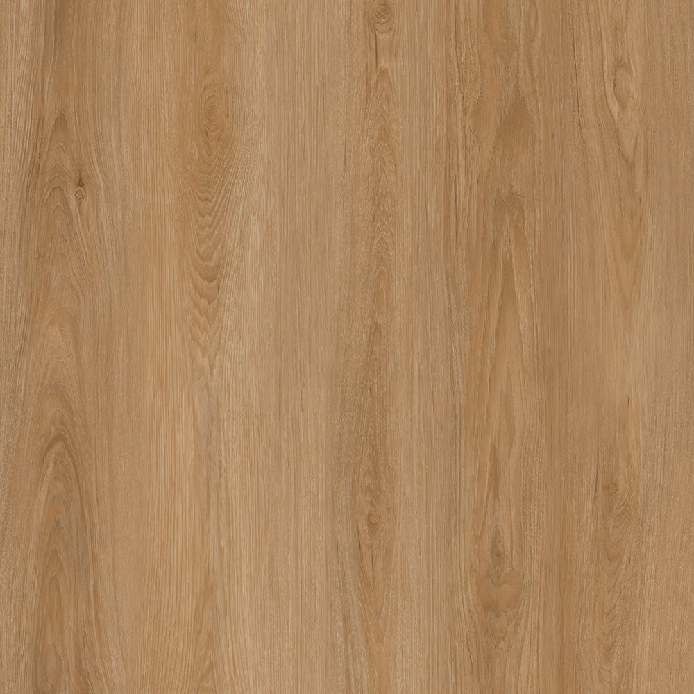 Parkay Floors XCC Force Plus+ 9.38" x 60" Vinyl Plank