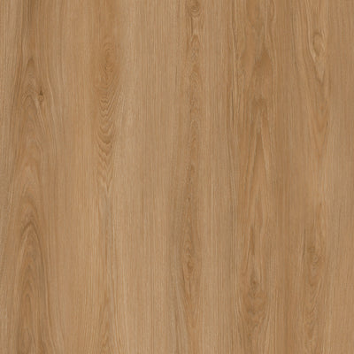 Parkay Floors XCC Force Plus+ 9.38" x 60" Vinyl Plank