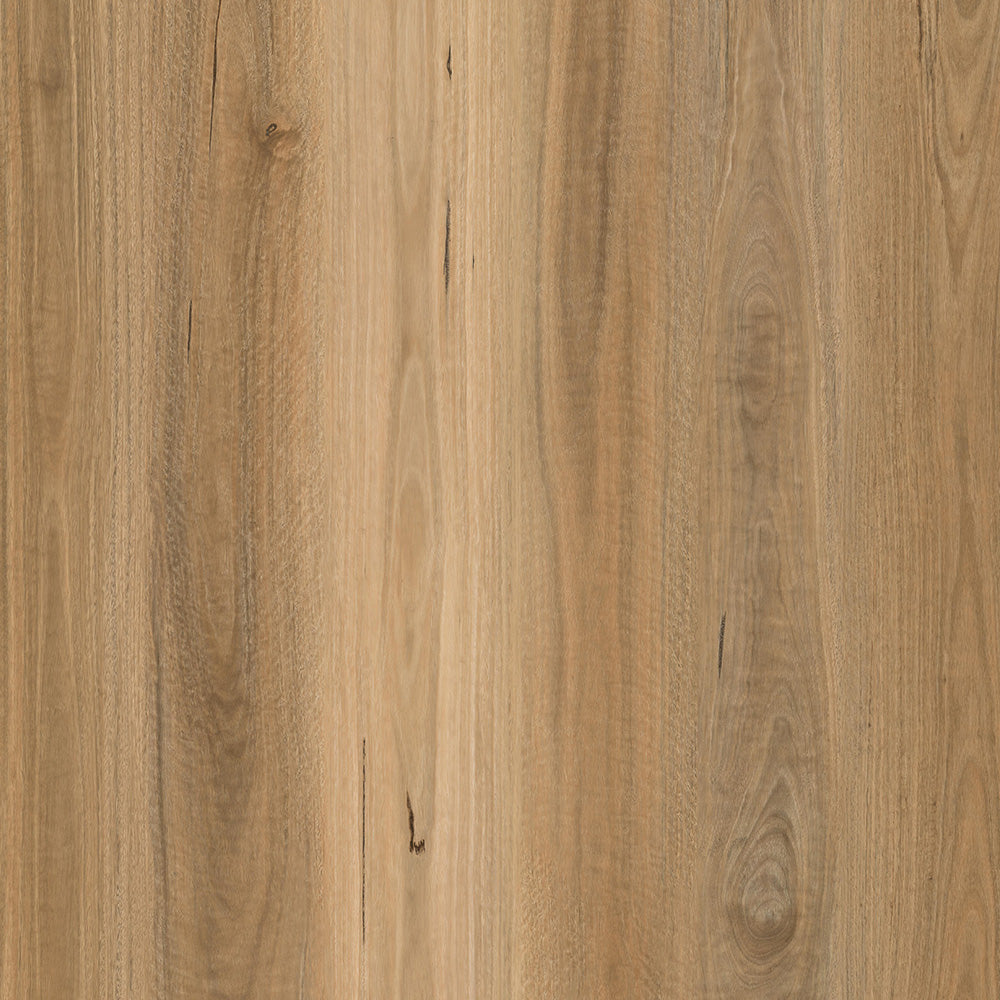 Parkay Floors XCC Force Plus+ 9.38" x 60" Vinyl Plank