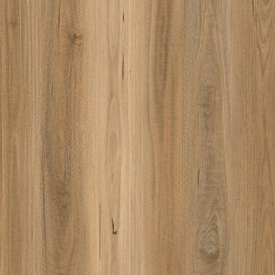 Parkay Floors XCC Force Plus+ 9.38" x 60" Vinyl Plank