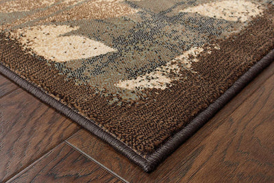 Oriental Weavers Hudson 1699G Brown, Brown