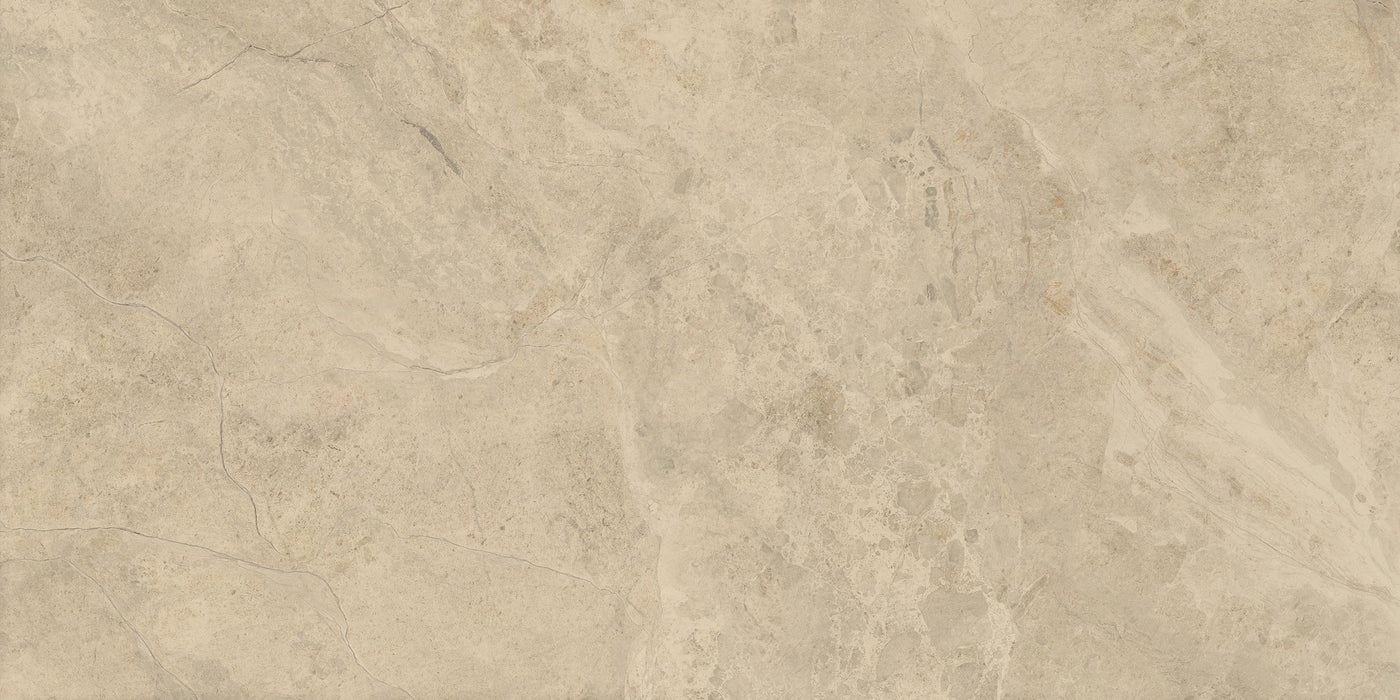 Emser Terramor 24" x 47" Porcelain Tile