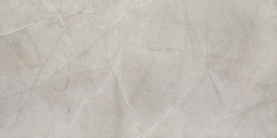Crossville Stones At Large 24" x 48" Porcelain Tile