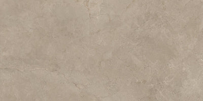 Emser Terramor 24" x 47" Porcelain Tile