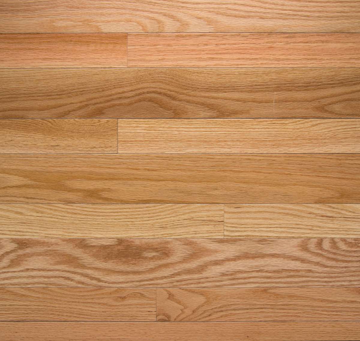 Somerset High Gloss 2.25" x RL Hardwood Plank