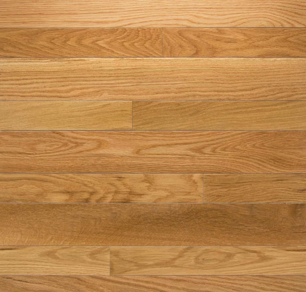 Somerset High Gloss 2.25" x RL Hardwood Plank