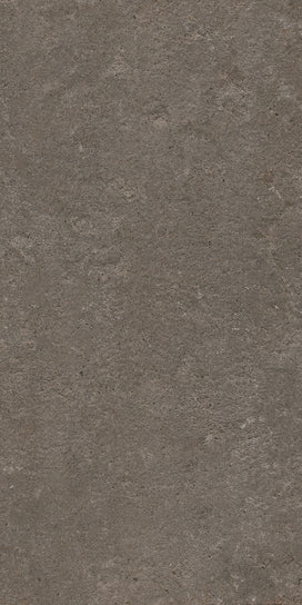 Emser Perenne 24" x 47" Porcelain Tile