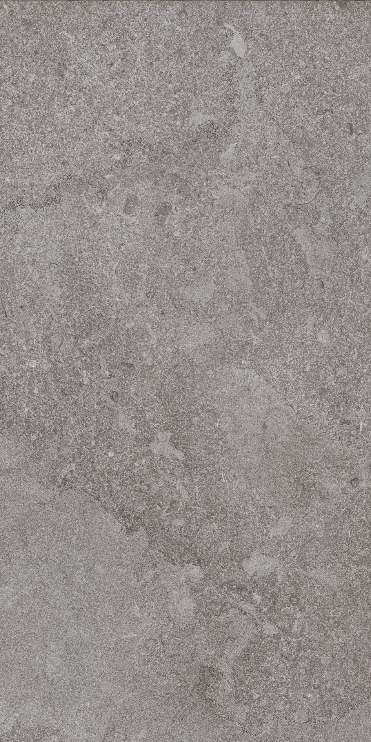 Portobello America Norian 24" x 48" Porcelain Tile