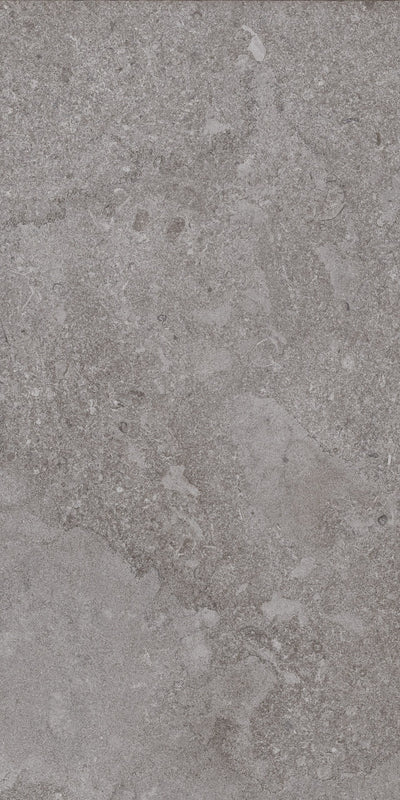 Portobello America Norian 24" x 48" Porcelain Tile