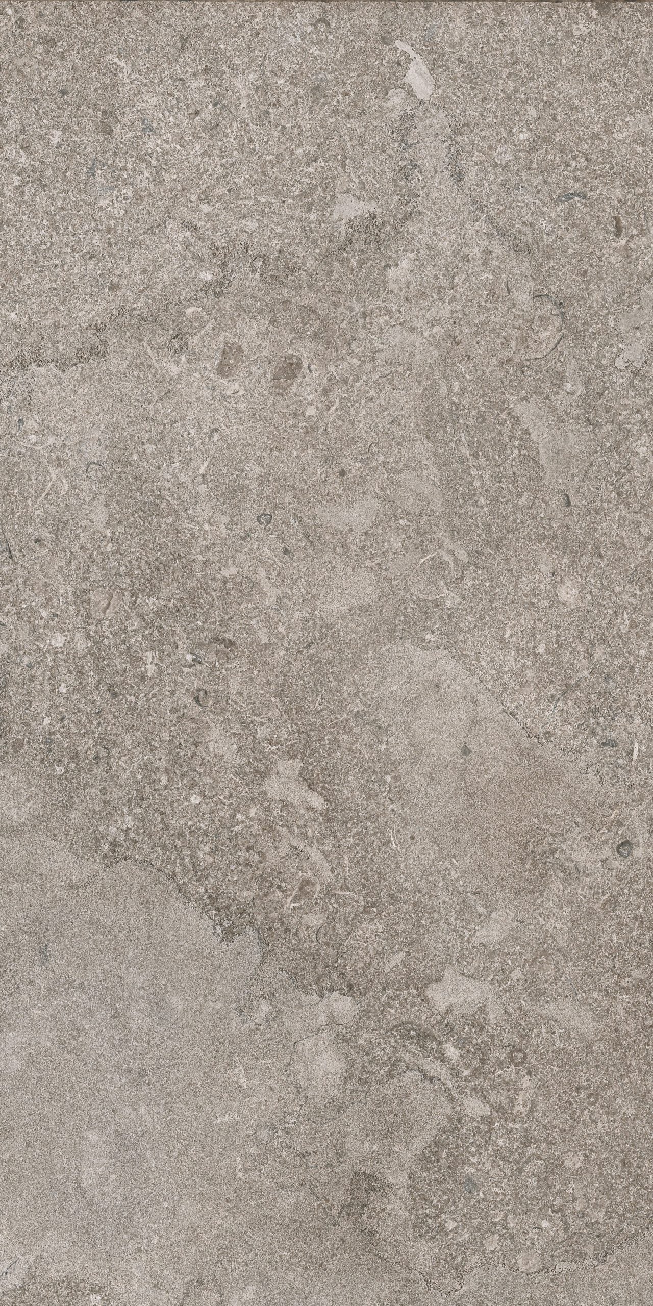Portobello America Norian 24" x 48" Porcelain Tile