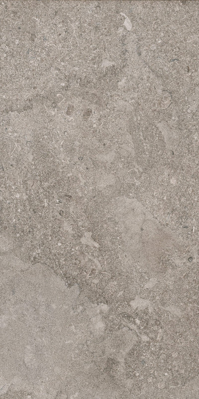 Portobello America Norian 24" x 48" Porcelain Tile