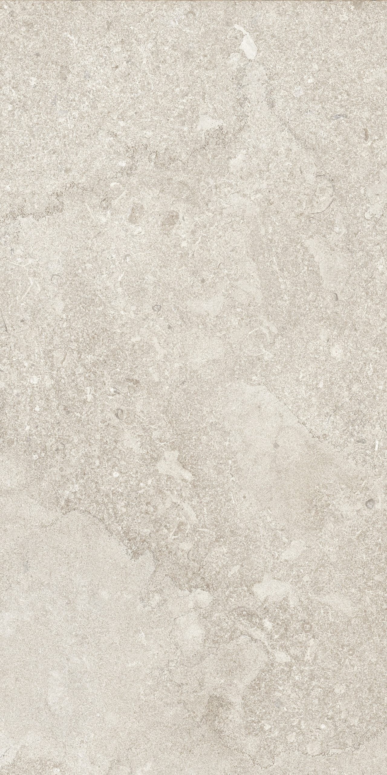 Portobello America Norian 24" x 48" Porcelain Tile