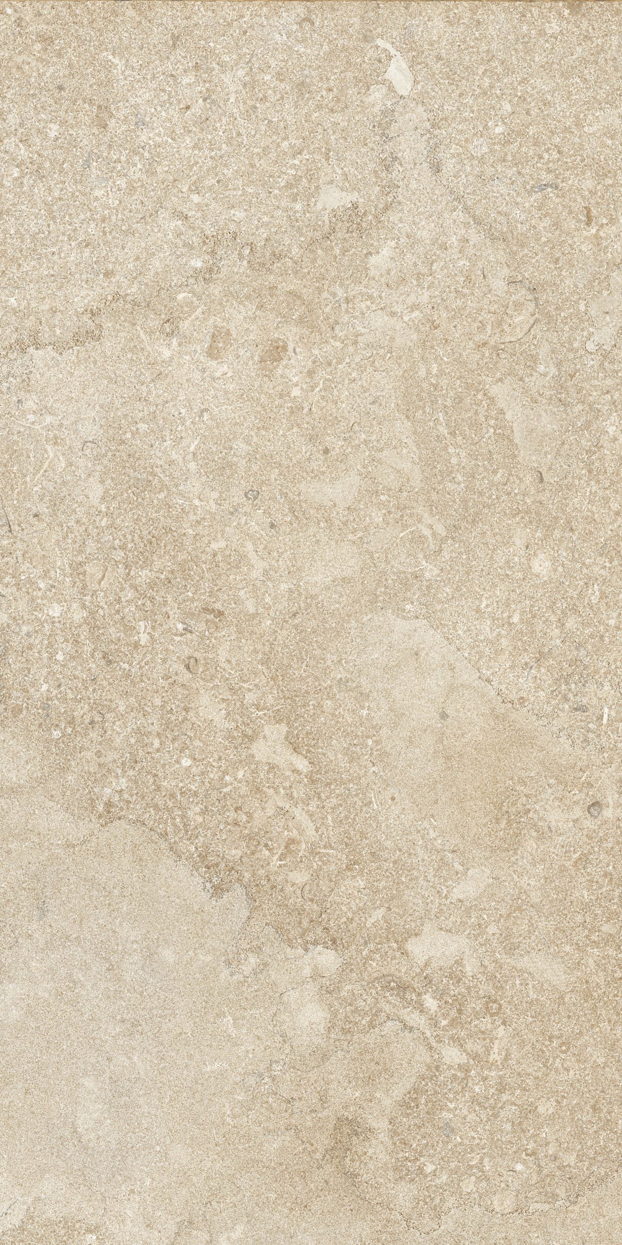 Portobello America Norian 24" x 48" Porcelain Tile