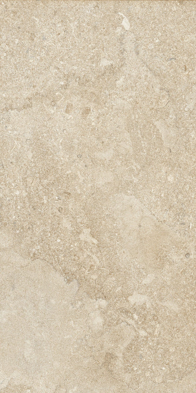 Portobello America Norian 24" x 48" Porcelain Tile